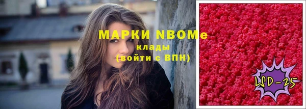 соль ск Вяземский
