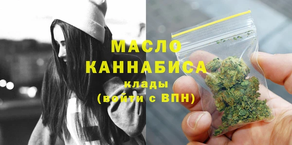 соль ск Вяземский